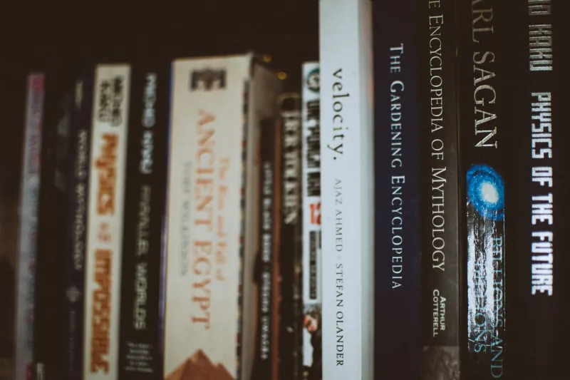 You Own Everything and Still Feel Behind: The Collector's Curse of the 'Complete' Set